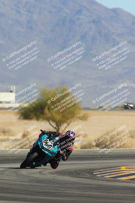 media/Feb-04-2024-SoCal Trackdays (Sun) [[91d6515b1d]]/9-Turn 15 (130pm)/